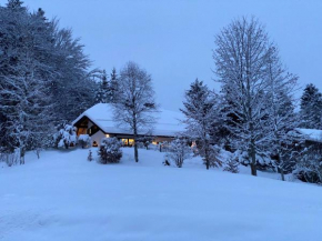 Amadeus Black Forest Mountain